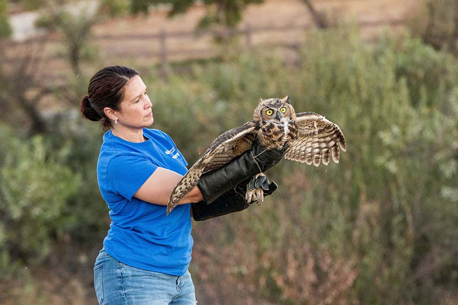 Project Wildlife - Carlsbad Charitable Foundation